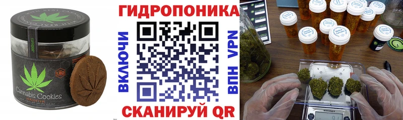 Cannafood марихуана  omg вход  Черкесск 